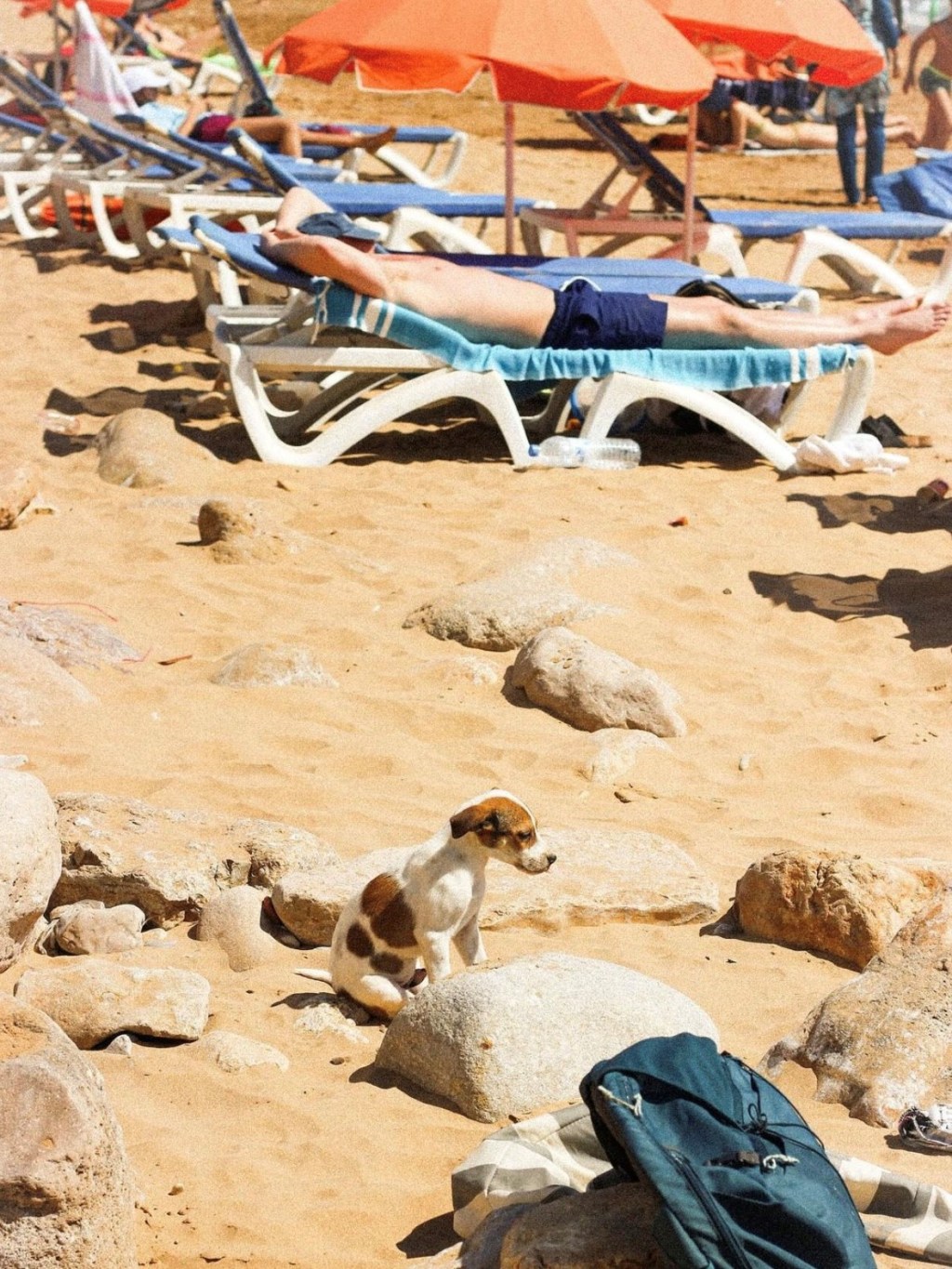 Why I Won’t Stop Talking About Taghazout,&nbsp;Morocco